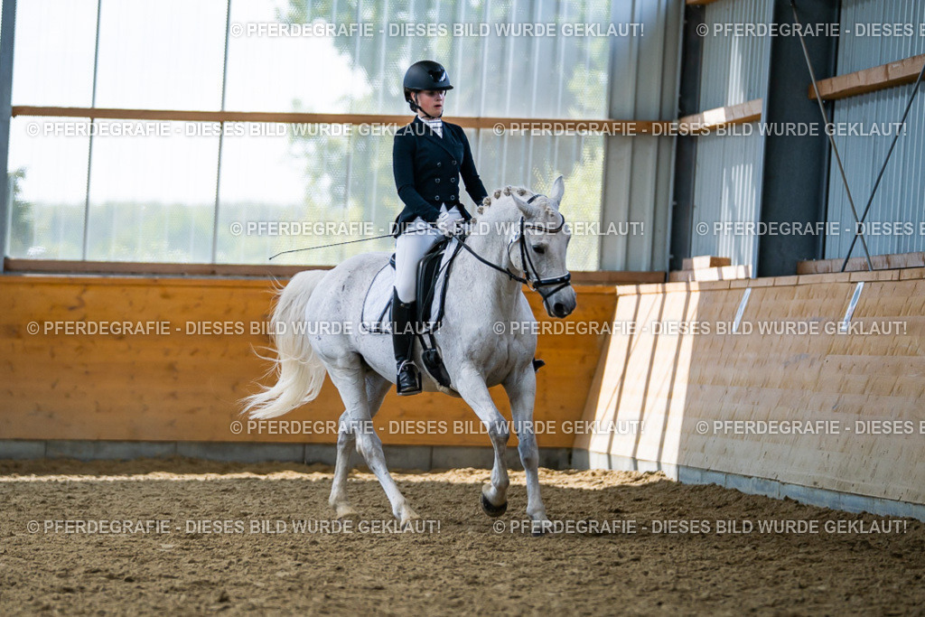 DSC05589 | Pferdegrafie