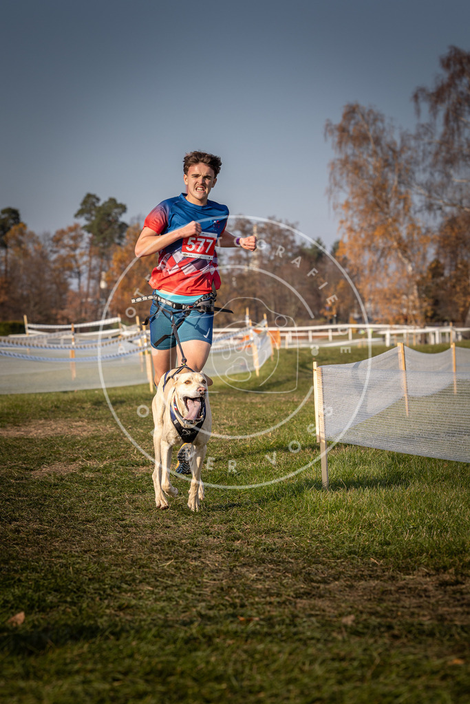 CaniXpix_0L8A9515 | Hundefotografie, Tierfotograf, Pfotenfotografie, Fotoshooting Hund, Hunde Portrait, Hundesport, Hundeportraits, Heideshooting, Hunde, Sportfotograf, Hundefotograf, Turnierhundsport, THS,  - Realisiert mit Pictrs.com