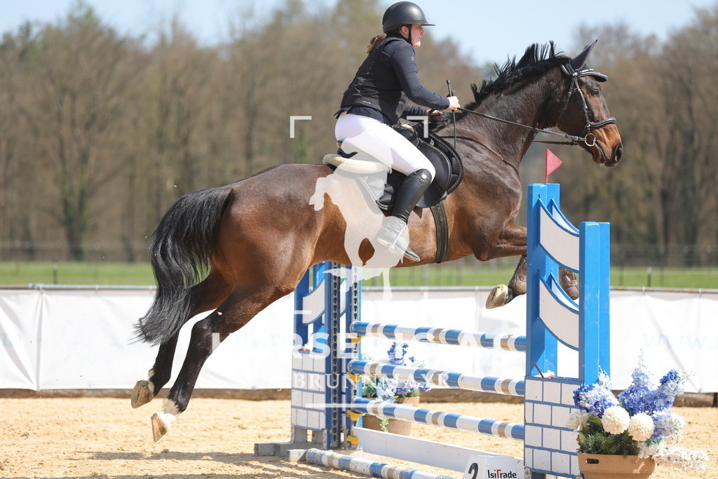 0P6A1136 | Willkommen bei Brunnmayr - Design & Fotografie – Ihrem Spezialisten für Reitturniere und Pferdeveranstaltungen in Oberösterreich, Salzburg und Bayern! Seit über 17 Jahren sind wir leidenschaftlich dabei.