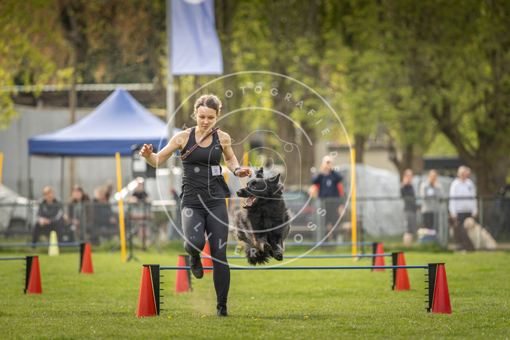 Pfotenfotografie_DV3A5757 | Hundefotografie, Tierfotograf, Pfotenfotografie, Fotoshooting Hund, Hunde Portrait, Hundesport, Hundeportraits, Heideshooting, Hunde, Sportfotograf, Hundefotograf, Turnierhundsport, THS,  - Realisiert mit Pictrs.com
