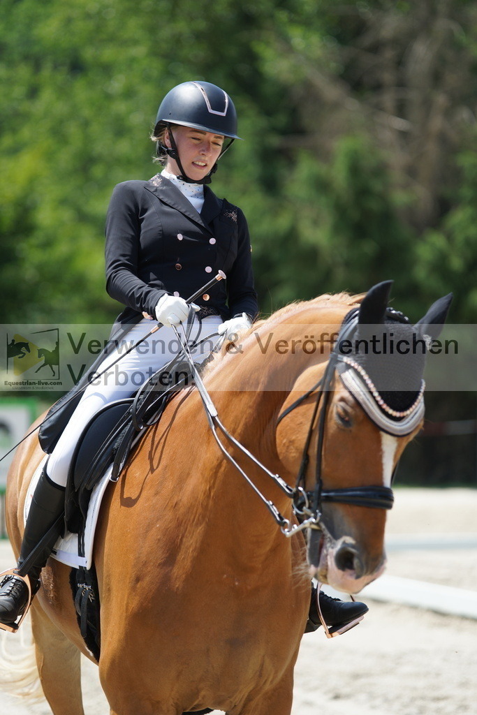 DSC05008 | equestrian-live-com