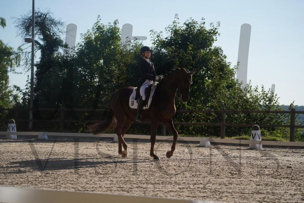 tgbhsonntag (2310) | d.tail Visions - Shop - Realisiert mit Pictrs.com