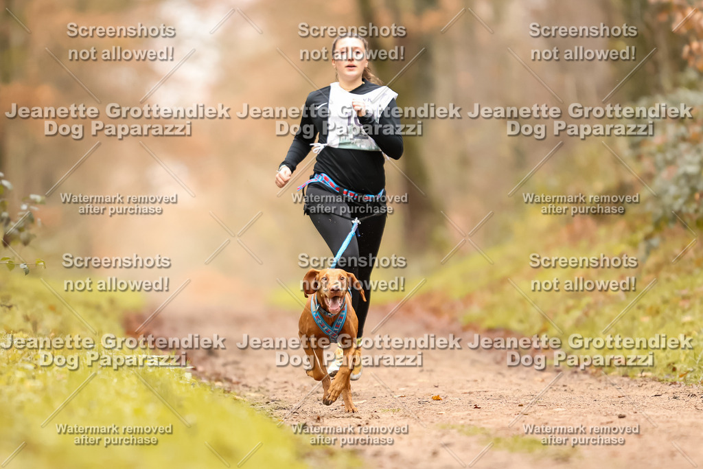 Dog Paparazzi - Speedhunter Mannheim  2025-125 | Dog Paparazzi Jeanette Grottendiek Fotografie & Videografie