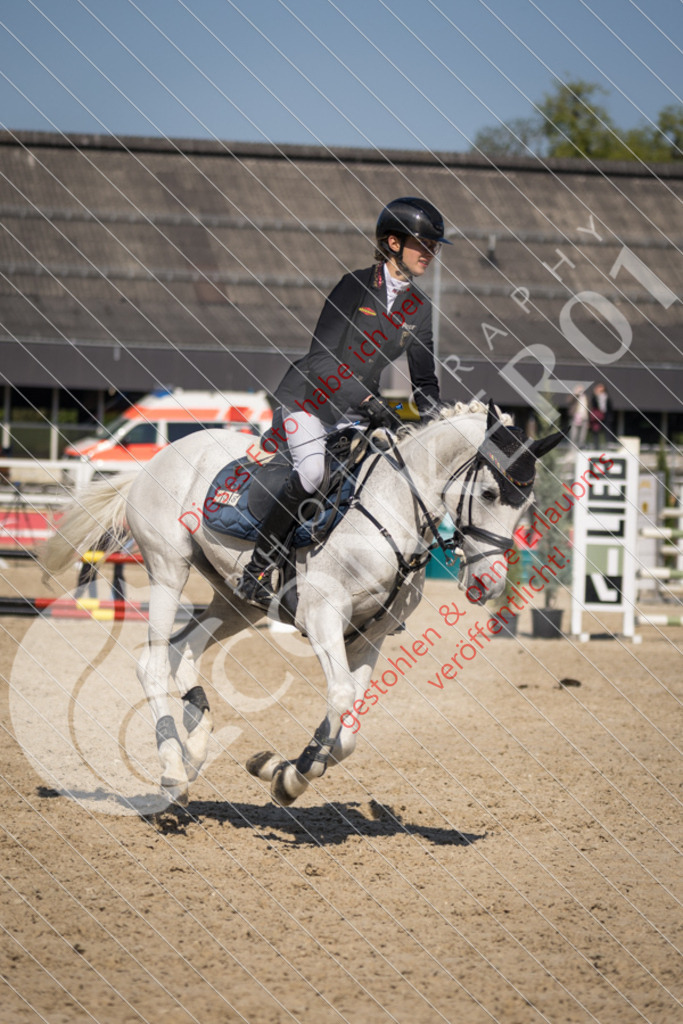 IMG_3897 | Sport-, Event- und Tierfotos in Profiqualität. Einfach auswählen, bestellen und herunterladen. Dein Moment – perfekt festgehalten.