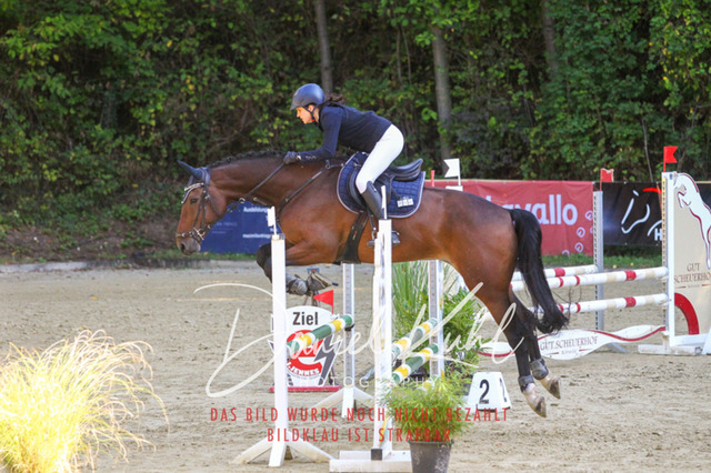 DKP42828 | Turniersportfotografie; Pferdefotografie; Dressurfotografie