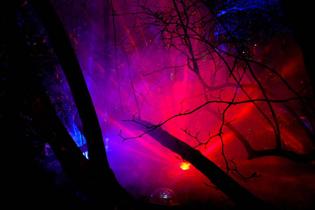 Parkleuchten_GrugaEssen24_47 | Bildergalerie von Sport-Ereignissen aber auch von weiteren spannenden Dingen - nicht nur vom Niederrhein. In Anlehnung an den bekannten Spruch von Hanns Dieter Hüsch heißt das Motto: "Niederrhein ist überall".  - Realisiert mit Pictrs.com