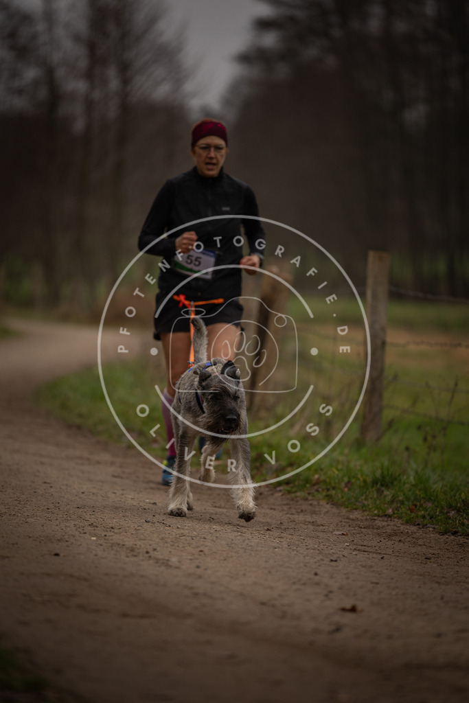 Pfotenfotografie_DV3A3040 | Hundefotografie, Tierfotograf, Pfotenfotografie, Fotoshooting Hund, Hunde Portrait, Hundesport, Hundeportraits, Heideshooting, Hunde, Sportfotograf, Hundefotograf, Turnierhundsport, THS,  - Realisiert mit Pictrs.com