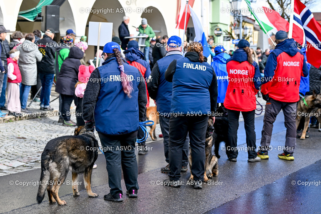 ASVÖ_ Tracking Dog World Championship 2025_ 31.03.2025-239 | 31.03.2025, AUT, ASVÖ, Tracking Dog World Championship // FCI IGP Fährtenhundeweltmeisterschaft 2025©fodo.media / Harald Dostal - Realisiert mit Pictrs.com