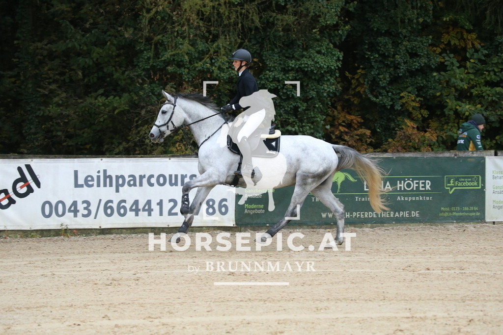 DL2Q3888 | Willkommen bei Brunnmayr - Design & Fotografie – Ihrem Spezialisten für Reitturniere und Pferdeveranstaltungen in Oberösterreich, Salzburg und Bayern! Seit über 17 Jahren sind wir leidenschaftlich dabei.