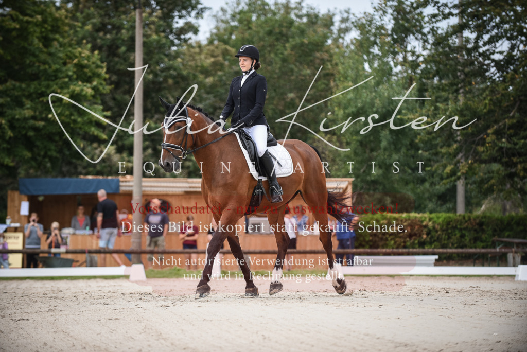 DSC_8062 | Pferde- und Turnierfotografie in Westsachsen. Pferdeportraits, Auftragszeichnungen und intuitive Kunst.