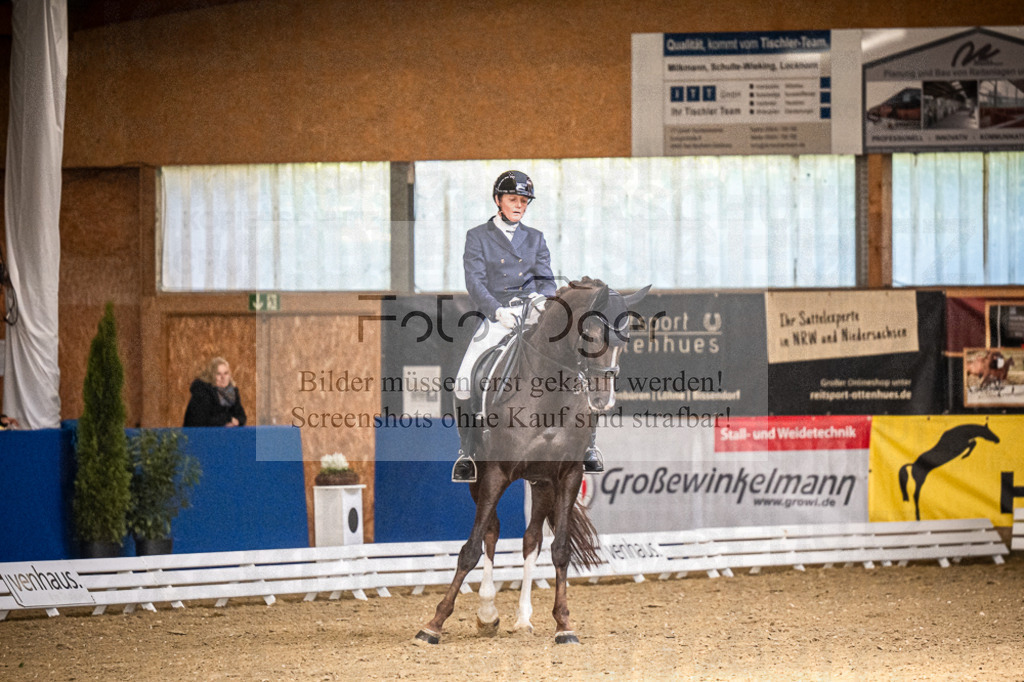 DOS_2940 | Entdecke hochwertige Reitturnierfotos von Foto Oger. Professionell, emotional und authentisch – jetzt Lieblingsmomente im Shop bestellen.Deutschlandweite Turnierfotografie. - Realisiert mit Pictrs.com