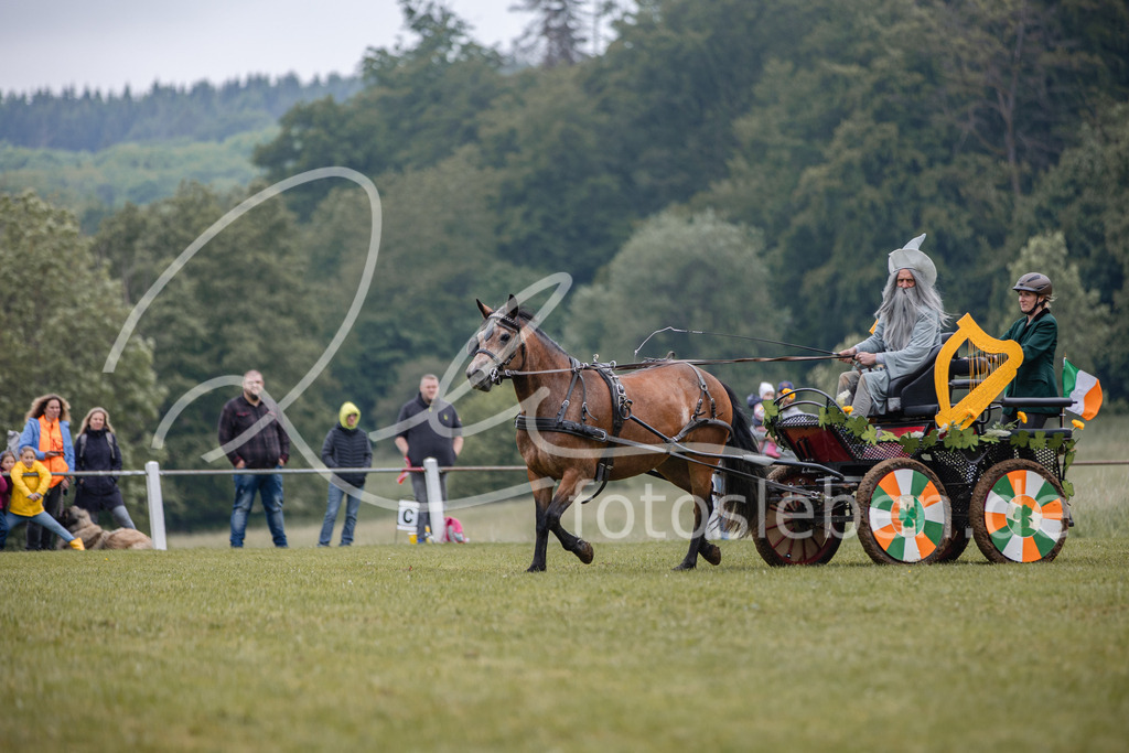 846A0421 | fotosleben - Realisiert mit Pictrs.com