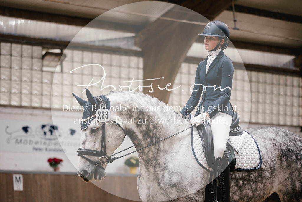 3I6A6836 | Stimmungsvolle Portraits und Reitsportfotografie im Ruhrgebiet und im Münsterland.

Pferdefotografie, Hundefotografie, Tierfotografie, Reportagen, Portraits von Tier und Mensch, Turnierfotografie in Bochum, Recklinghausen, Marl, Haltern am See, Dülmen.. - Realisiert mit Pictrs.com