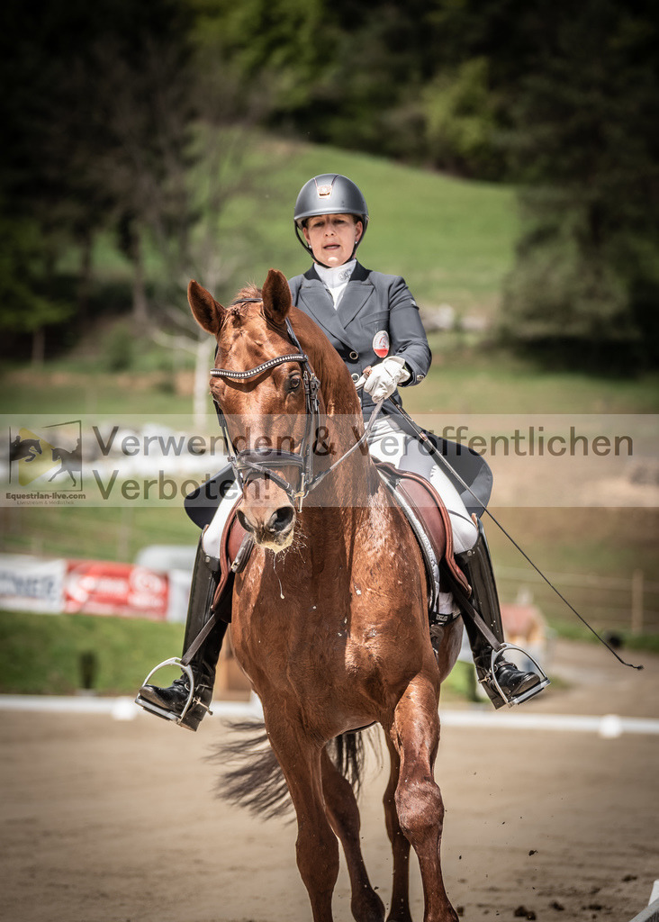 DSC_1464 | equestrian-live-com