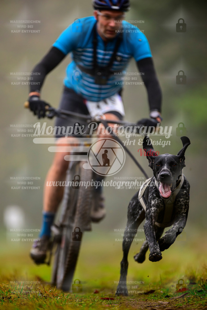 MompixPhotography_Bischwiller2025_Bike-21 | mompixphotography