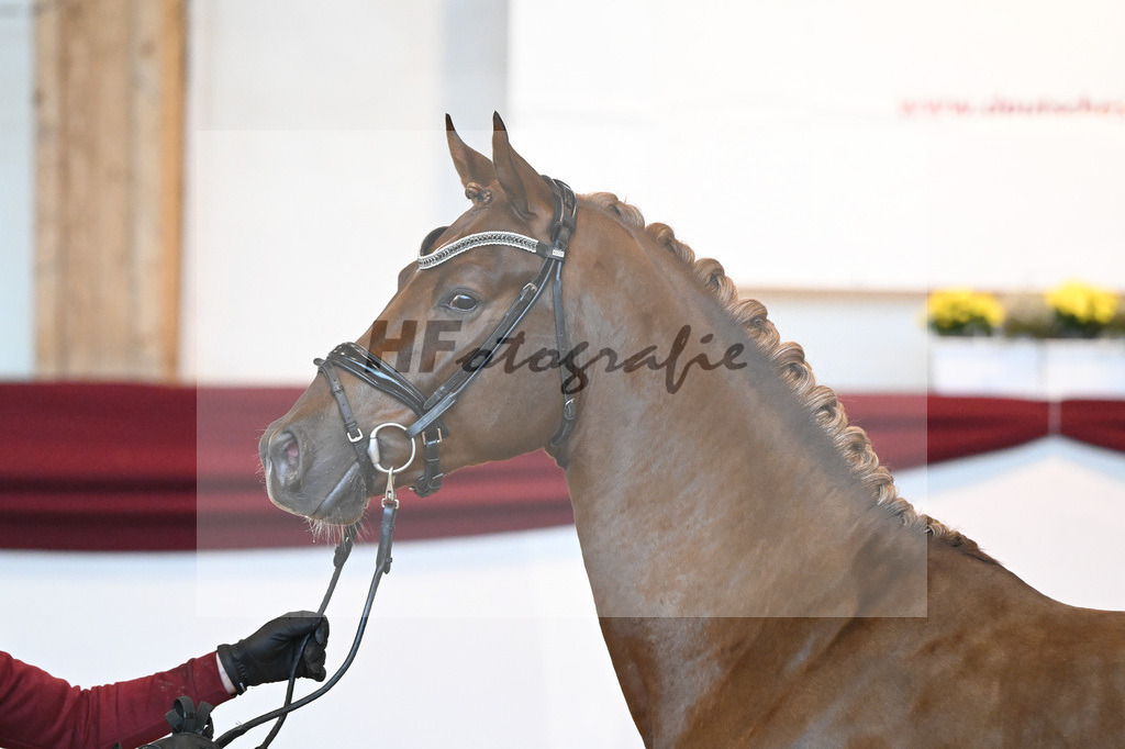 Kat-Nr. 74 v. Le Formidable_Maier_66220327 | hf-fotografie - Realisiert mit Pictrs.com