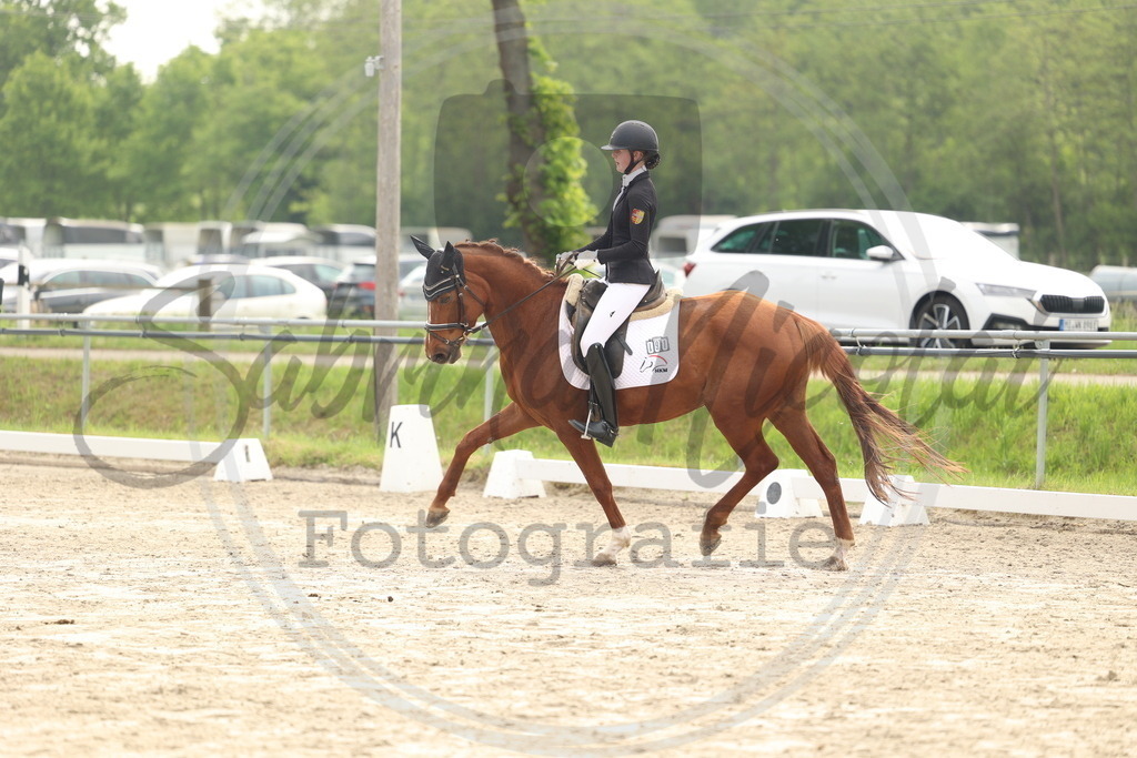 994A6260 | sabrinanicolaifotografie - Realisiert mit Pictrs.com