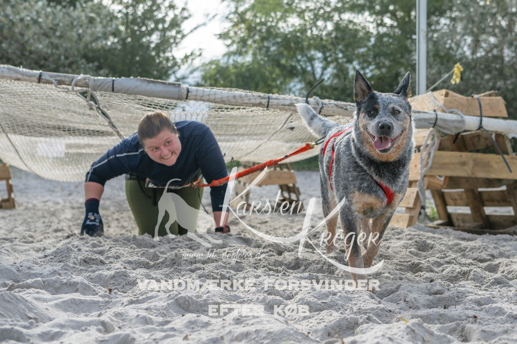 1158_ZZ99646 | kk-dogfotos