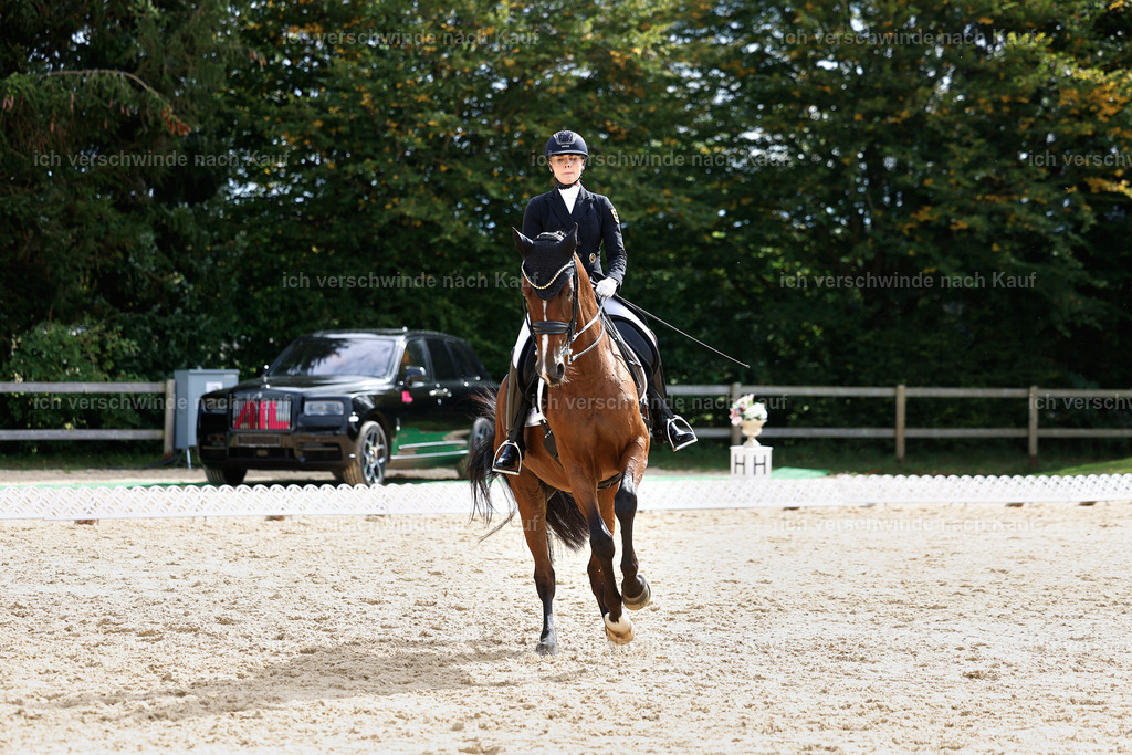 11-003-Dressur S___-StoibPH-1086 | working equitationturnier fotograf videograf stoibphotography marixx film working equitation deutschland reitsport turnierfotografie eventfotografie equestrian events