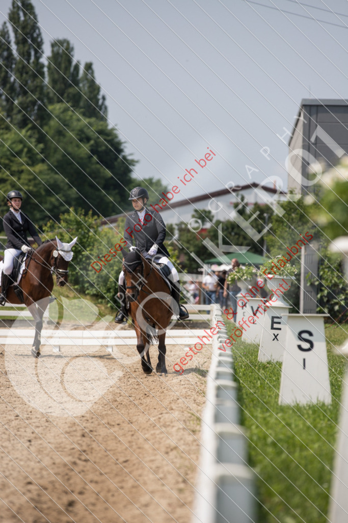 IMG_3570 | Sport-, Event- und Tierfotos in Profiqualität. Einfach auswählen, bestellen und herunterladen. Dein Moment – perfekt festgehalten.