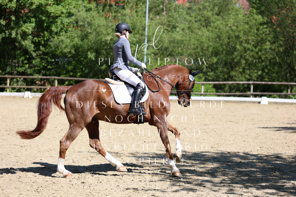 IMGS0897 | pl-fotografie