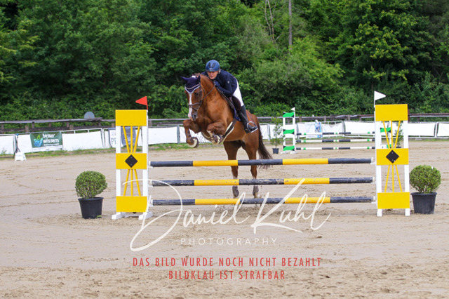 DKP41561 | Turniersportfotografie; Pferdefotografie; Dressurfotografie