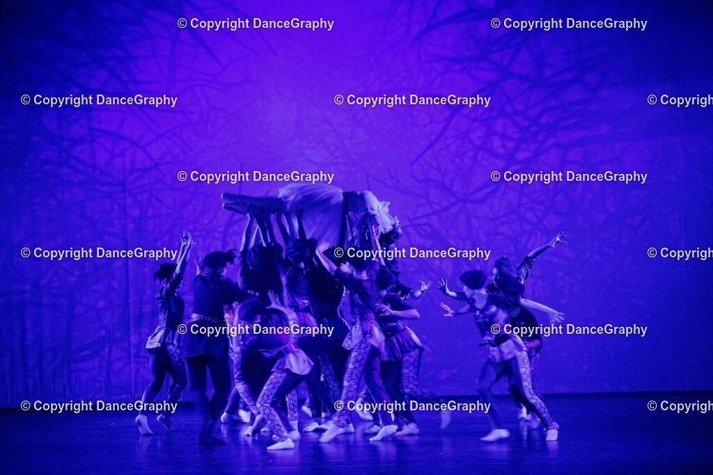 GPHY1687 | DanceGraphy - Realisiert mit Pictrs.com