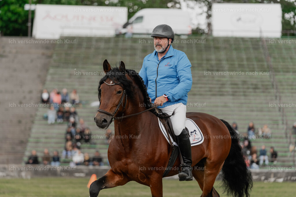 Showprogramm-281 | working equitationturnier fotograf videograf stoibphotography marixx film working equitation deutschland reitsport turnierfotografie eventfotografie equestrian events