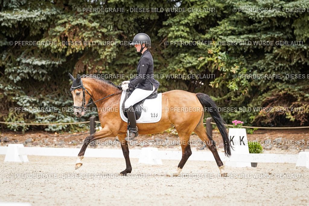 DSC04451 | Pferdegrafie