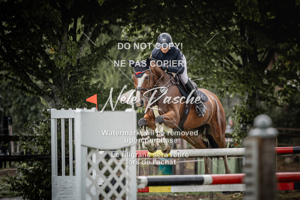 nelerasche_SprL110Ede_02 | nelerasche