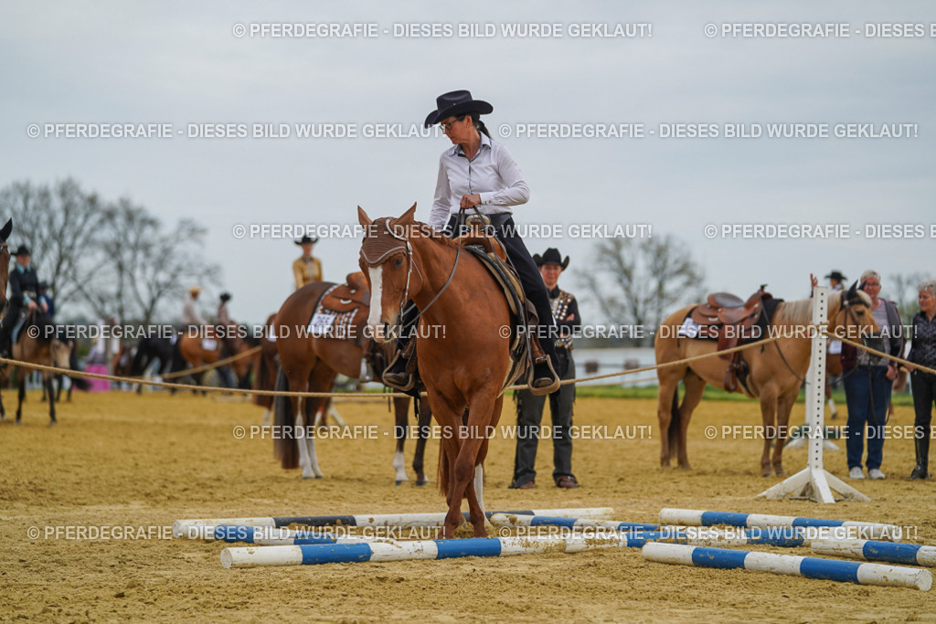 DSC02538 | Pferdegrafie