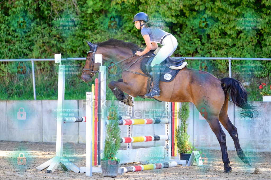 29082026-Giesenbach-Prfg10-0526 | Fokus Hufschlag Fotografie - Realisiert mit Pictrs.com