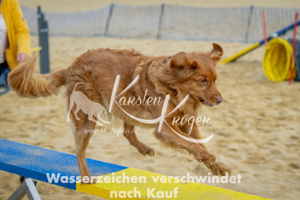 0911_ZZ91999-Bearbeitet | kk-dogfotos