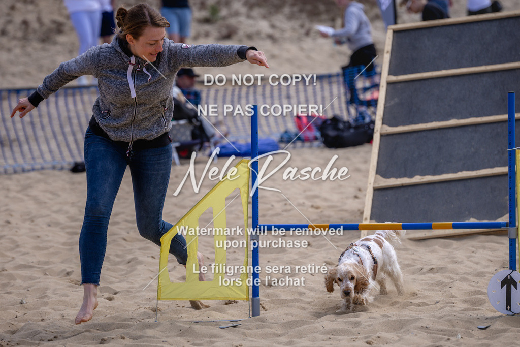 NR__2407 | nelerasche