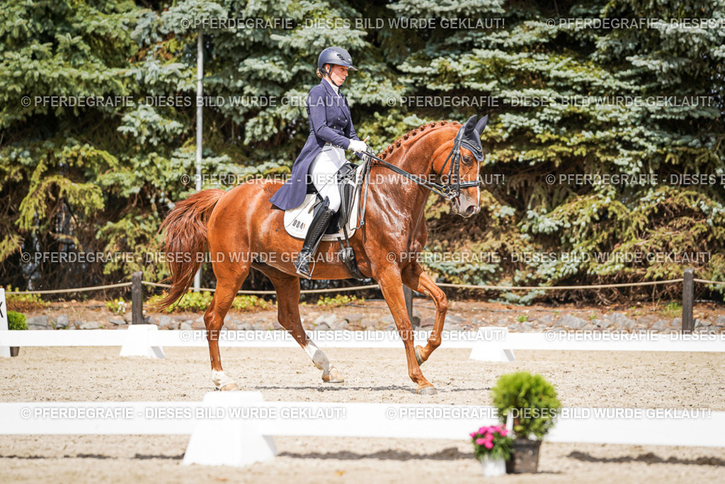 DSC06381 | Pferdegrafie