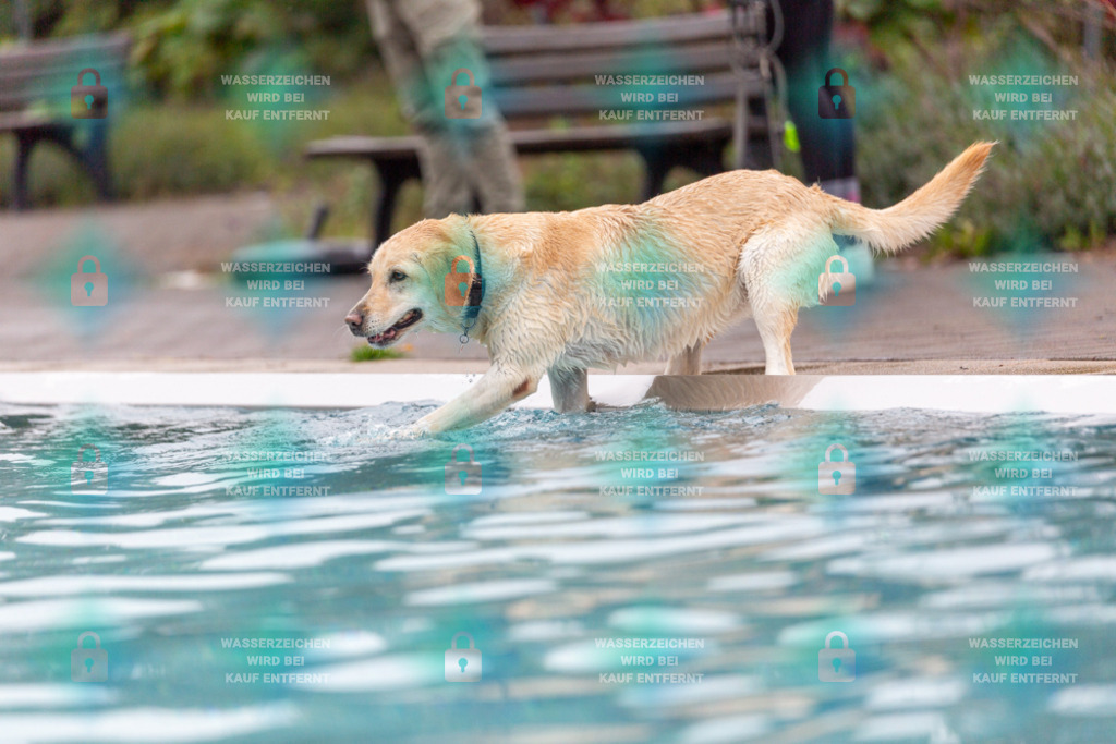 _HP_7149_1000o | HetPix, HetPix Fotodesign, Fotografie, Fotodesign, Webshop, Sportfotografie, Portraitfotografie, Onlineshop, Sportfotografie, Polch, Motorsportfotografie, Eventfotografie