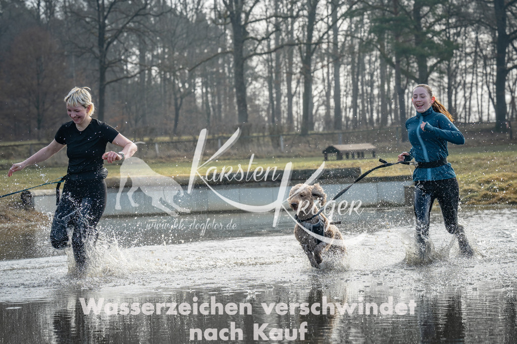 0958_ZZ95129 | kk-dogfotos