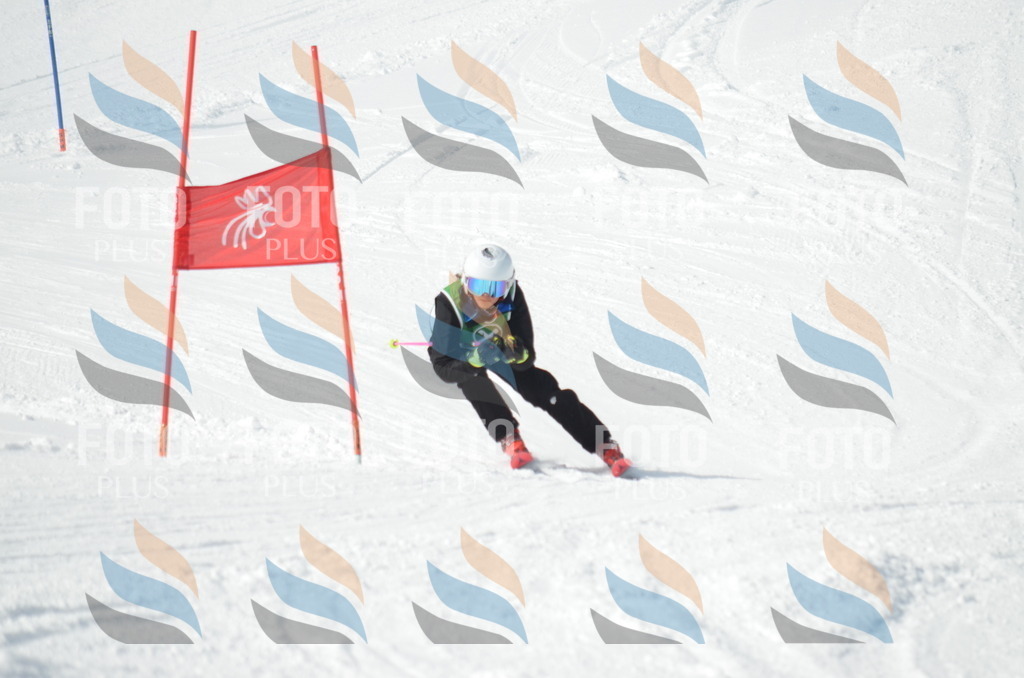 D8735 | holidayphoto