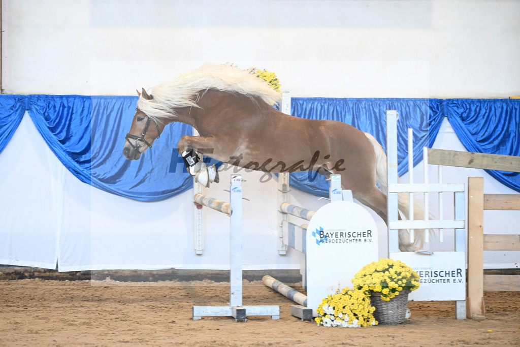 Kat-Nr. 20 nn v. Nakuri_Linder_48250406 | hf-fotografie - Realisiert mit Pictrs.com