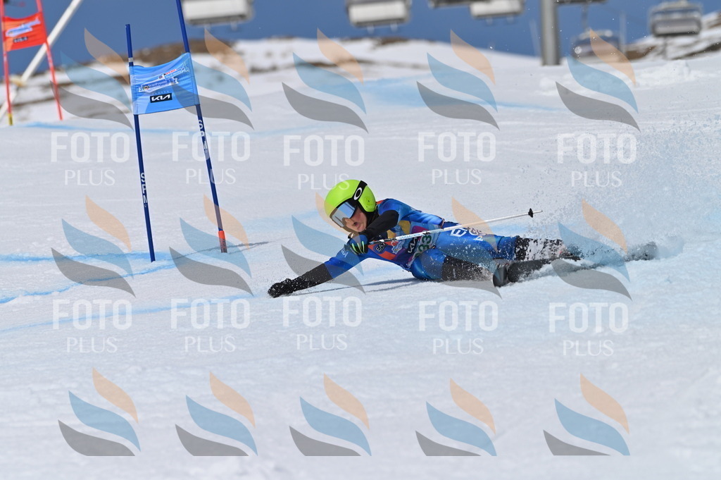 BGV_6602 | holidayphoto