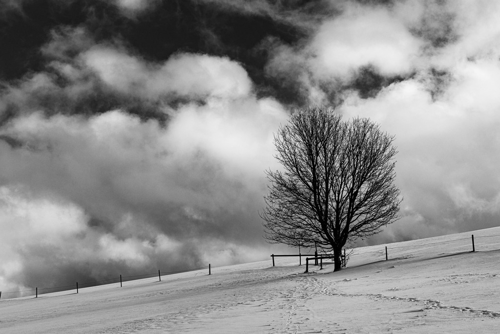 2021_12_07 BRM04630_ | bridgeman - Realisiert mit Pictrs.com