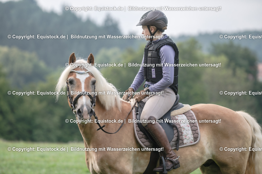 20250726_Vielseitigkeitslehrgang-Marbach_0073 | Foto: Thomas Hartig