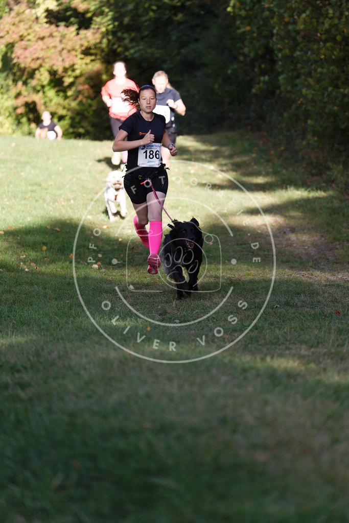 0L8A5394 | Hundefotografie, Tierfotograf, Pfotenfotografie, Fotoshooting Hund, Hunde Portrait, Hundesport, Hundeportraits, Heideshooting, Hunde, Sportfotograf, Hundefotograf, Turnierhundsport, THS,  - Realisiert mit Pictrs.com