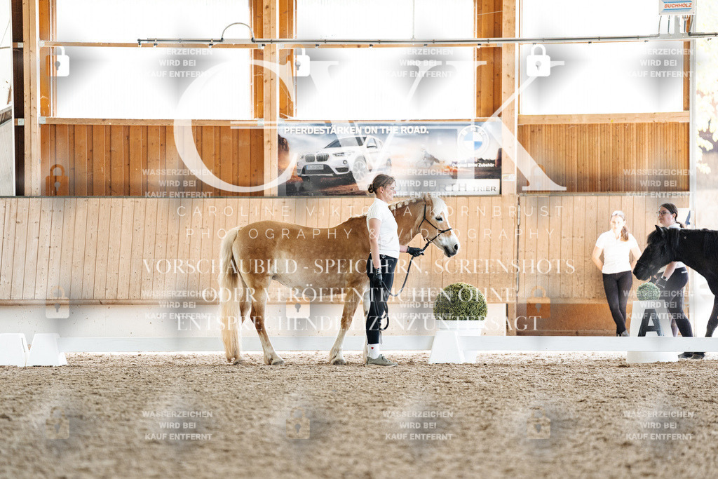 CK907848 | Turnierfotografie Pferdefotografie Trier Rheinland-Pfalz Pferdesport Reitsport Tierfotografie Sportfotografie Pferdevideo Pferdevideografie Equestrianvideography equestrianphotography  - Realisiert mit Pictrs.com