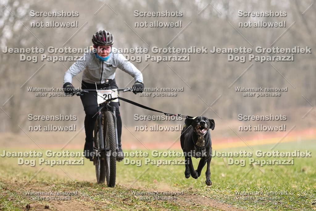 Dog Paparazzi - Plate 2026-71 | Dog Paparazzi Jeanette Grottendiek Fotografie & Videografie - Realisiert mit Pictrs.com