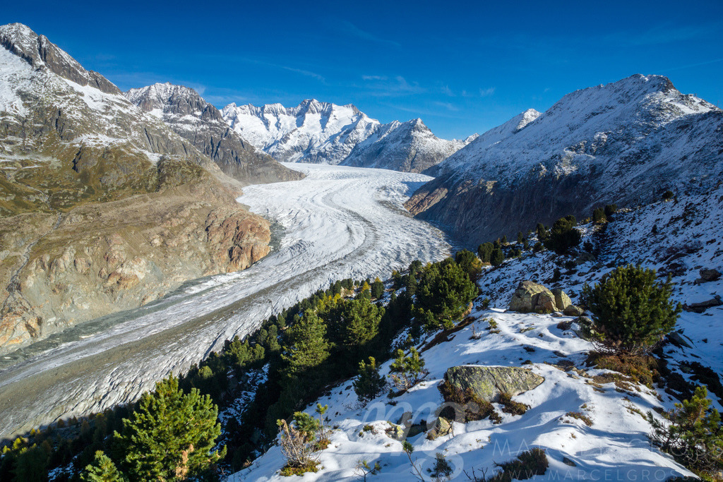 majestic Aletschgletscher in first snow in autumn | Die ideale Geschenkidee für Naturliebhaber. Naturbilder von Marcel Gross Photography für ihr Zuhause in den verschiedensten Formaten und Materialien. - Realisiert mit Pictrs.com