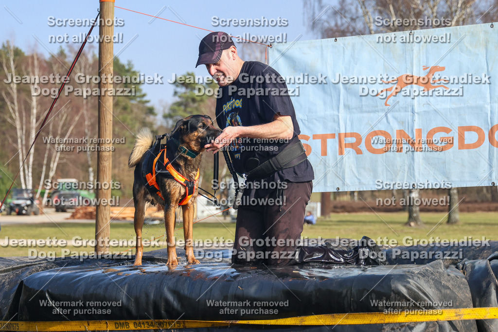 Dog Paparazzi - Strongdog North Mrz26-2938 | Dog Paparazzi Jeanette Grottendiek Fotografie & Videografie - Realisiert mit Pictrs.com
