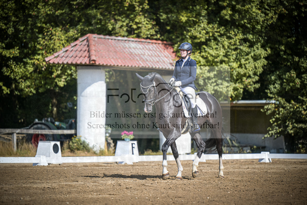 DOS_3892 | Entdecke hochwertige Reitturnierfotos von Foto Oger. Professionell, emotional und authentisch – jetzt Lieblingsmomente im Shop bestellen.Deutschlandweite Turnierfotografie. - Realisiert mit Pictrs.com