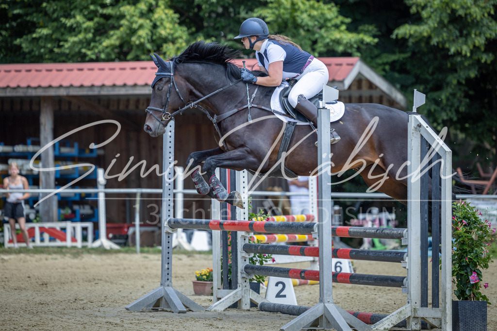 20260704-_3LI9342 | Tierfotografie Pferde, Hunde, Katzen, Haustiere.
Turnierfotografie Reitturniere, Reiten, Springreiten, Dressur in Hanau, dem Main-Kinzig-Kreis und dem Rhein-Main- Gebiet um Frankfurt