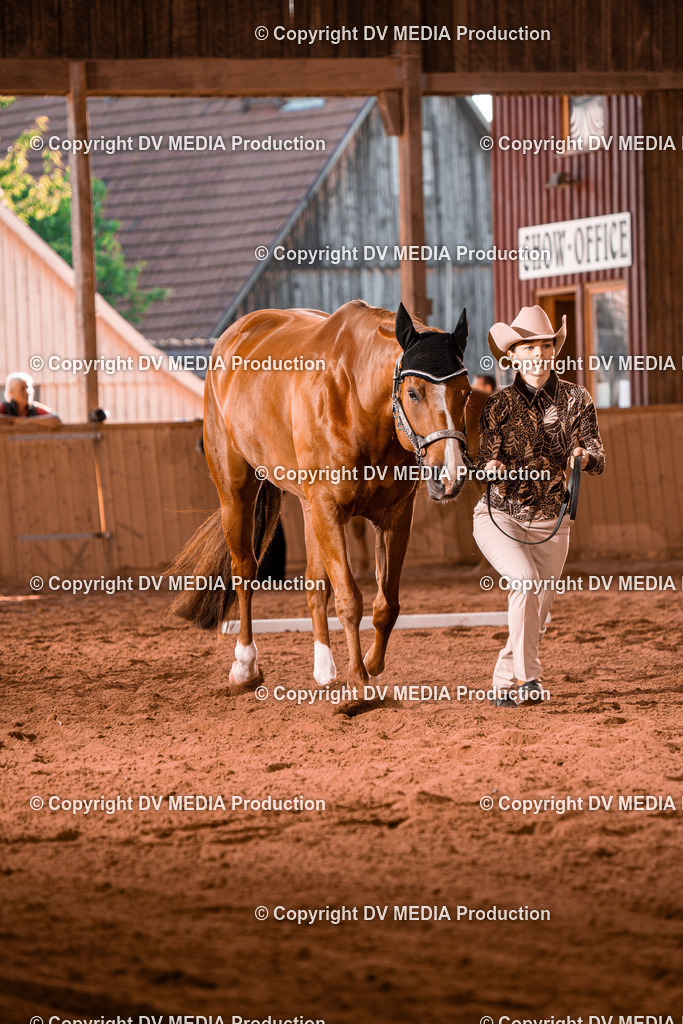 NE100122 | dv-media-shop - Realisiert mit Pictrs.com